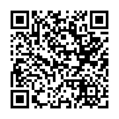 QR code for ZO0416