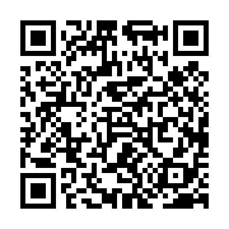 QR code for ZO0418
