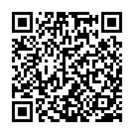QR code for ZO1389
