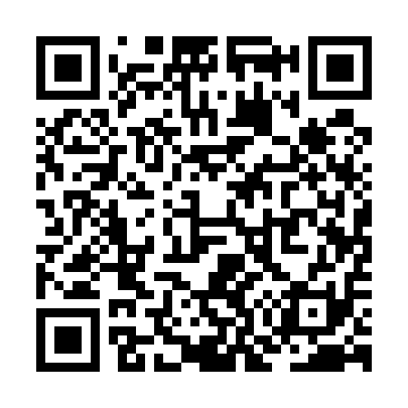 QR code for ZO1511