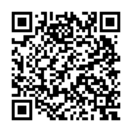 QR code for ZO1613