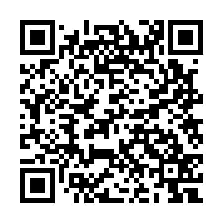 QR code for ZO2137