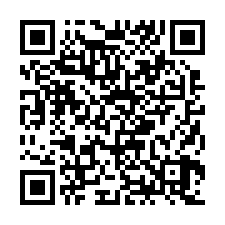 QR code for ZO2228