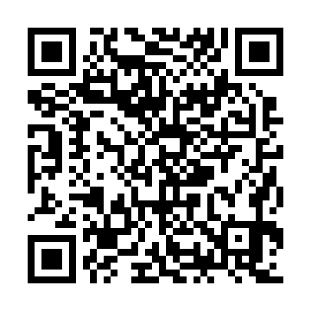 QR code for ZO2271