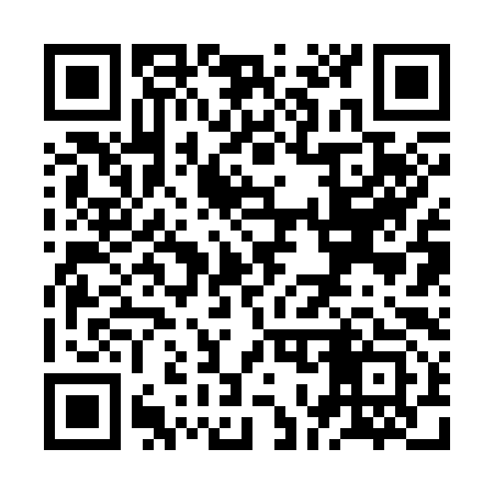 QR code for ZO2393