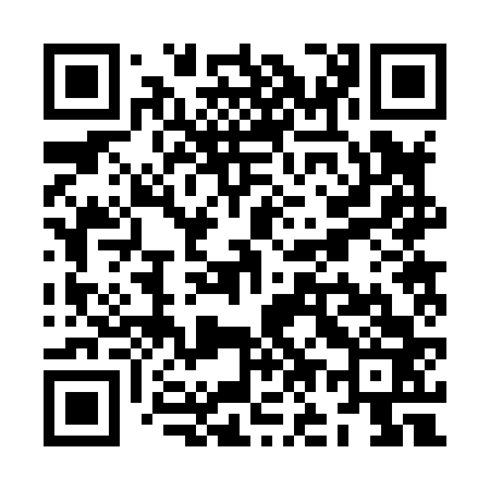 QR code for ZO2863