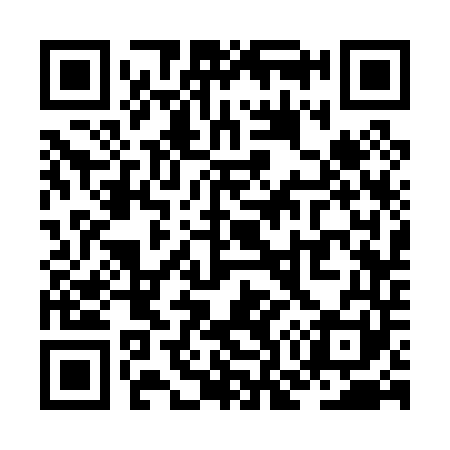 QR code for ZO3041
