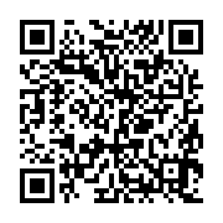 QR code for ZO3195