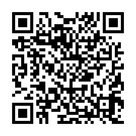 QR code for ZO3519