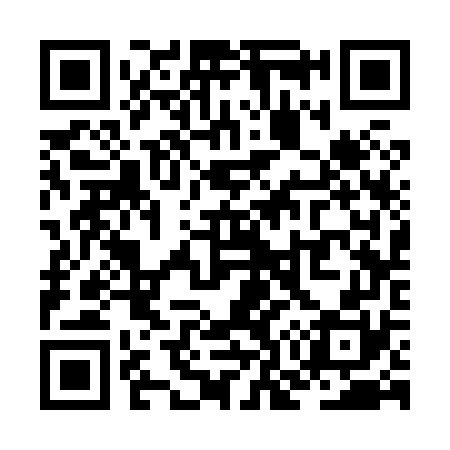 QR code for ZO3870
