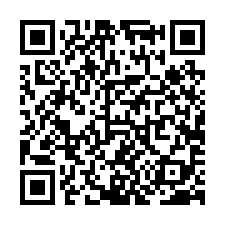 QR code for ZO4299