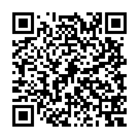 QR code for ZO4518