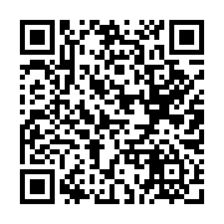 QR code for ZO4595