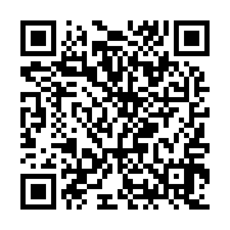 QR code for ZO4917