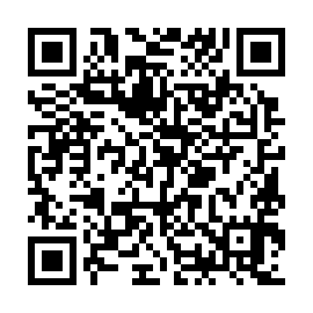 QR code for ZO5395