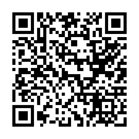 QR code for ZO6223
