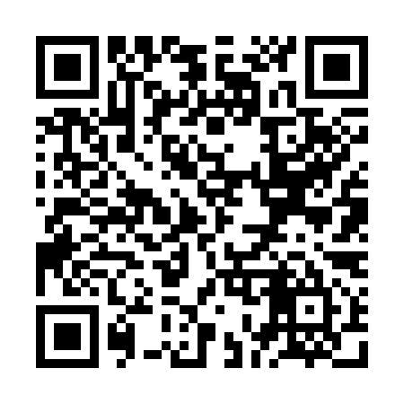 QR code for ZO6395