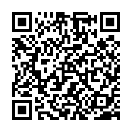 QR code for ZO6519