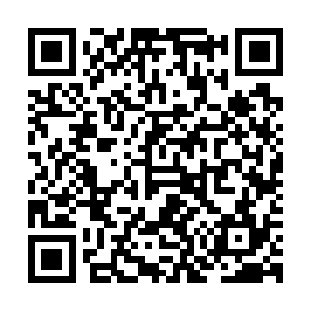 QR code for ZO6734