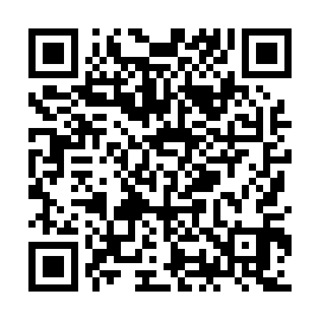QR code for ZO8011