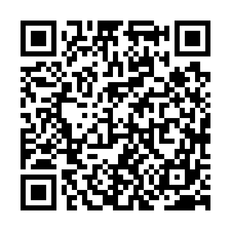 QR code for ZO8777
