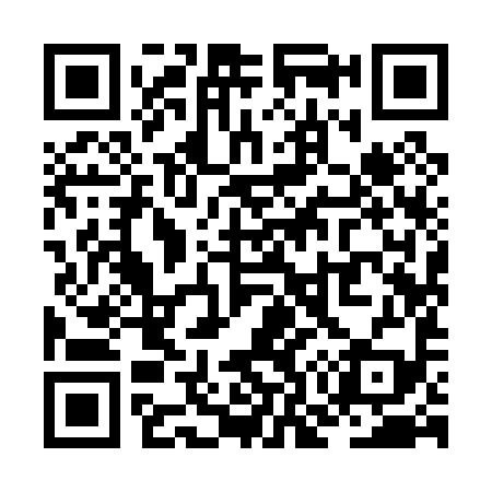 QR code for ZO9099