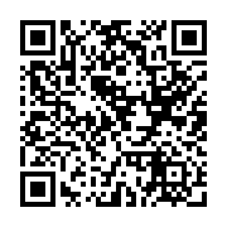QR code for ZO9111