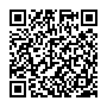 QR code for ZO9532