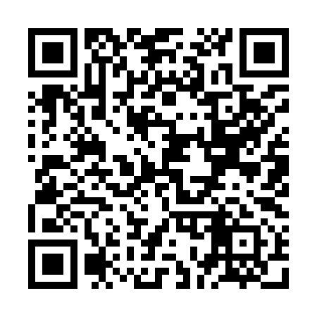 QR code for ZO9991