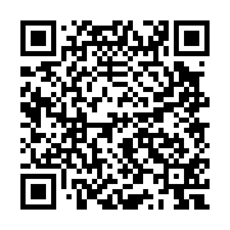 QR code for ZP0011