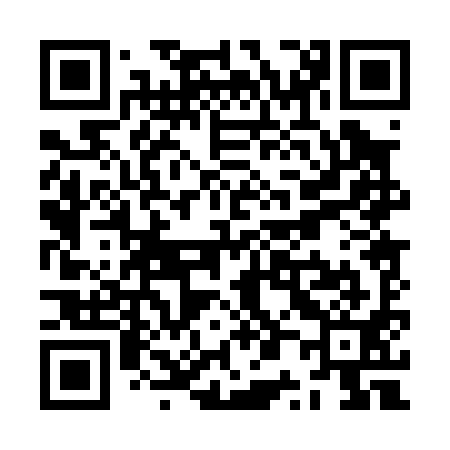 QR code for ZP0091