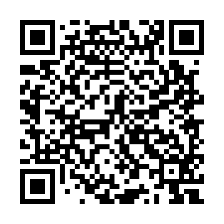QR code for ZP0196
