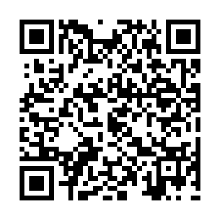 QR code for ZP0333
