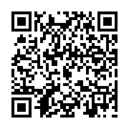 QR code for ZP0377