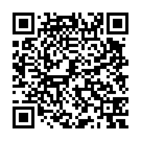 QR code for ZP0438