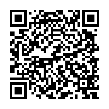 QR code for ZP0499