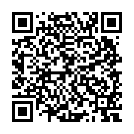QR code for ZP0691