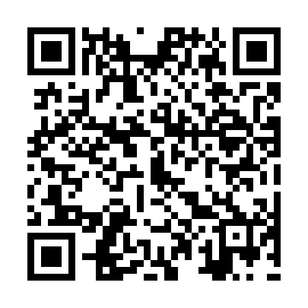 QR code for ZP0700