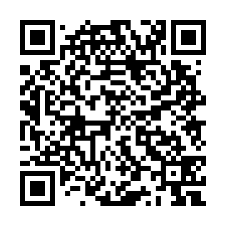QR code for ZP0739