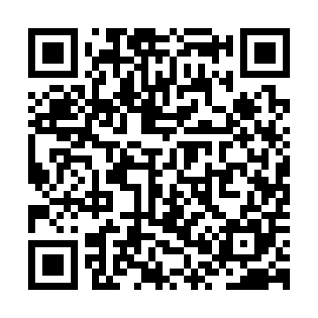 QR code for ZP1305