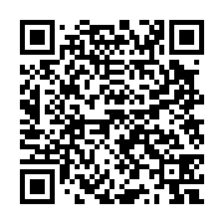 QR code for ZP2038