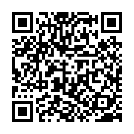 QR code for ZP2229