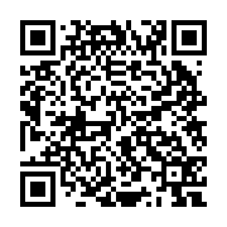 QR code for ZP2236