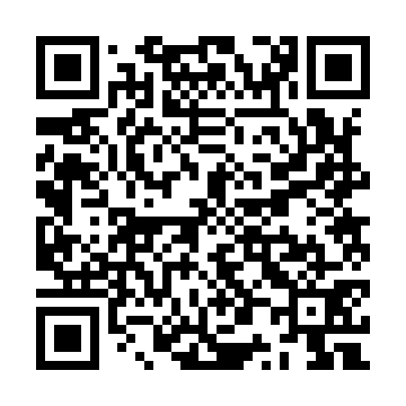 QR code for ZP2971