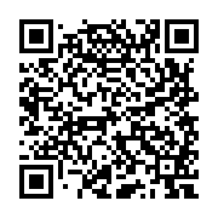 QR code for ZP2981