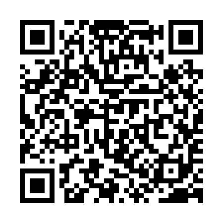 QR code for ZP3291