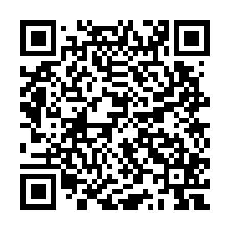 QR code for ZP3705
