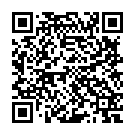 QR code for ZP3822