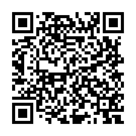 QR code for ZP3951