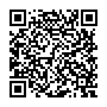 QR code for ZP3986